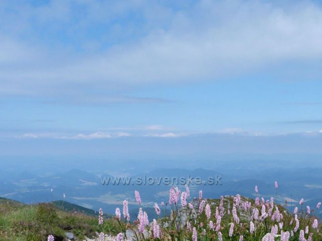 pod Velkým Kriváněm