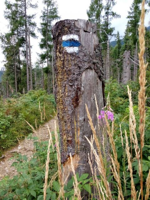 jdeme po modré do Tatranské Lomnice
