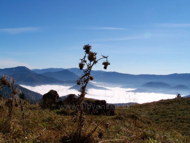odpočinek pod Rakytovem a pohledy plné obdivu.....
