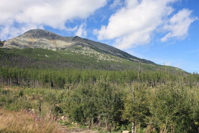 cestou do Tatranských Zrubů