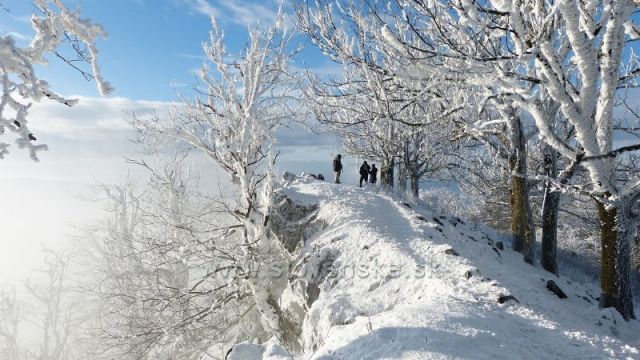 Malé Karpaty - Vysoká