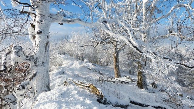 Malé Karpaty - Vysoká