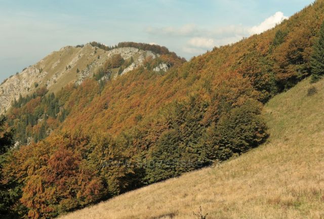 Malofatranské výhledy II.