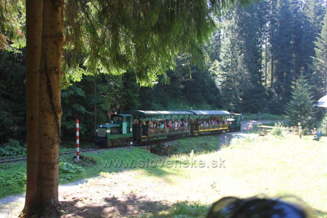 Vychylovka, Kysucká lesná železnica