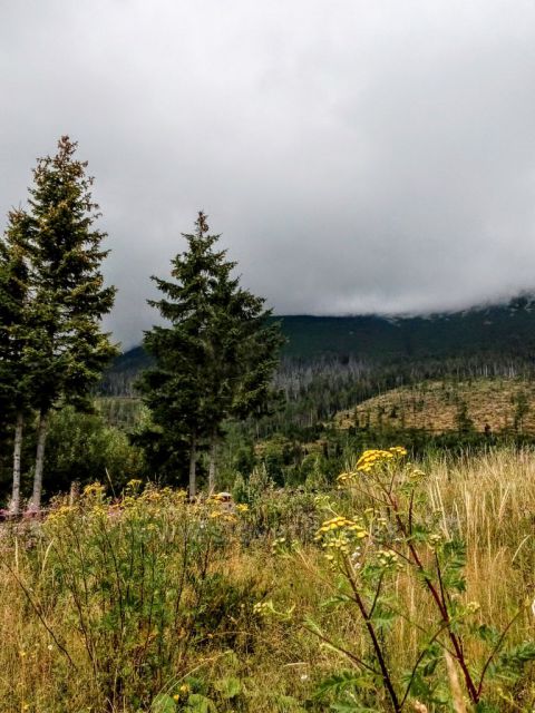 Podel tratě na Hrebienok.