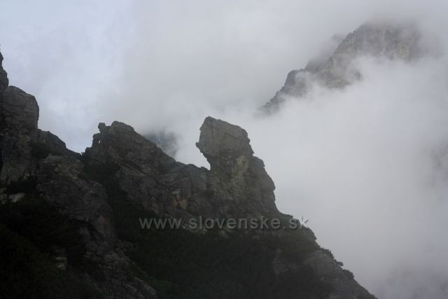 Slavkovská divočina