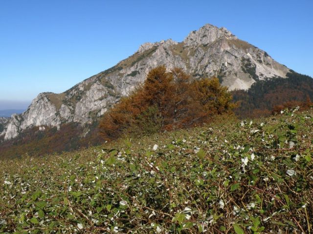 podzimní Malá Fatra