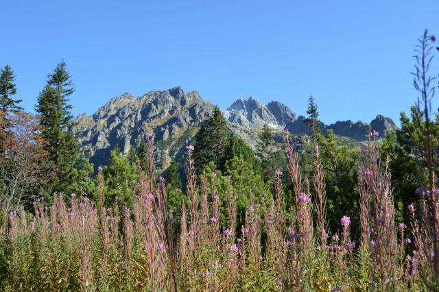 Cestou k Popradskému plesu