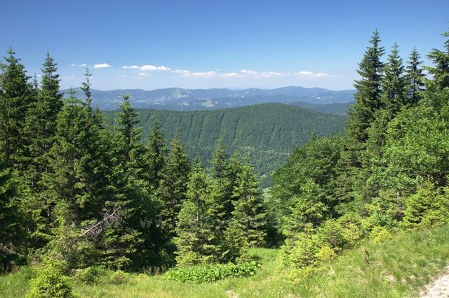 pod Malým Rozsutcem