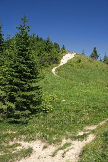 pod Malým Rozsutcem