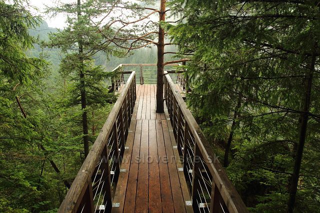 Vyhlídka Malý Roháč