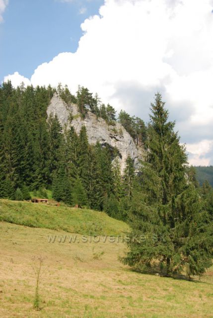 hřebenovka 
sedlo Poľany
Demänovská Dolina