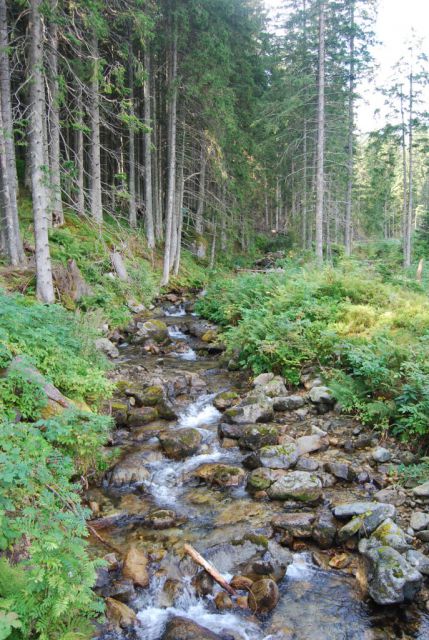 výšlap na Sedlo Poľany