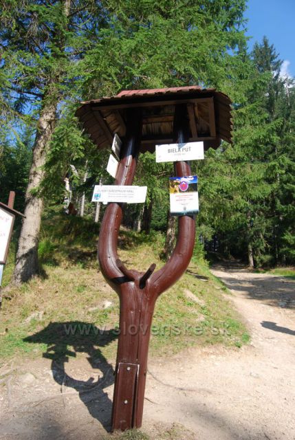 Demänovská dolina a okolí