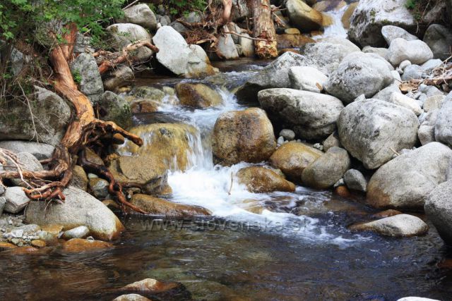 cestou
do Tatranské Polianky