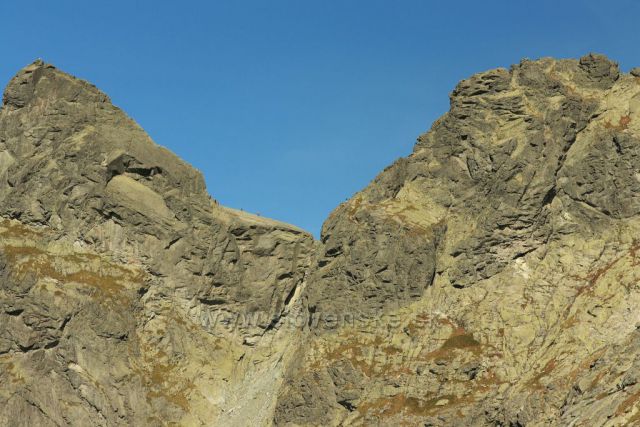 nekonečný Žabí kůň