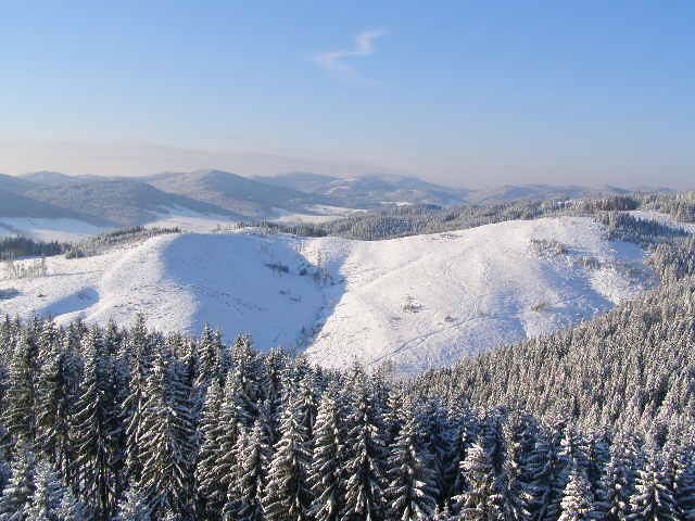 Pohľad zo Živákovej