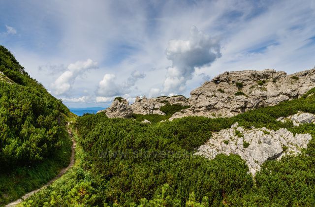Cestou na Sivý vrch
