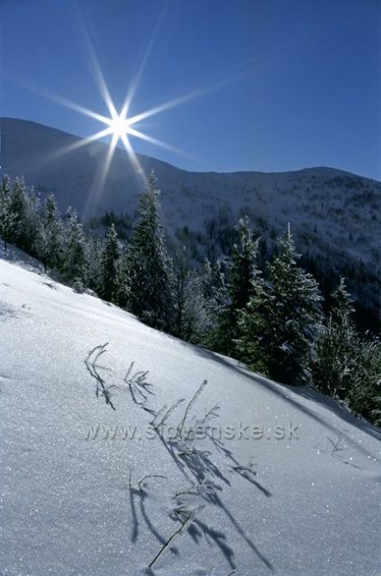 Malá Fatra v sedle Kraviarské