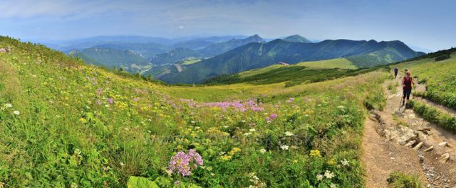 Krásný pohled z úpatí Velkého Kriváně.