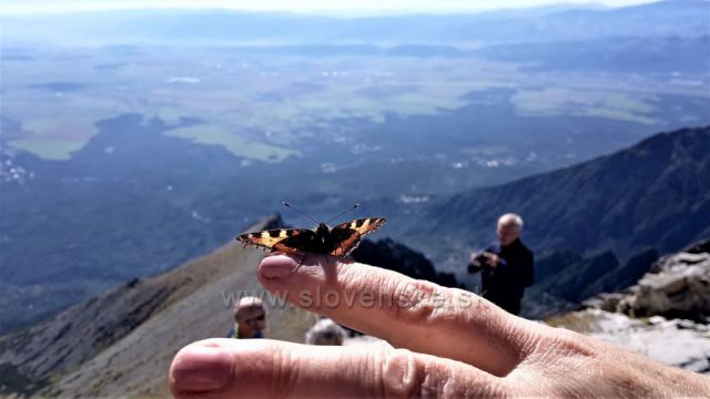 Na Lomnickom štíte.