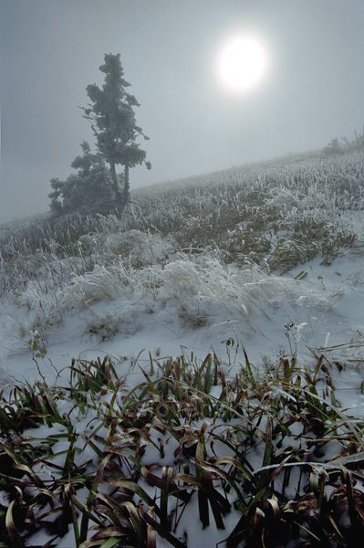 Malá Fatra-Hmla pod Stohom
