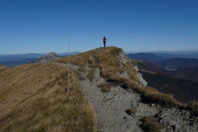 Malá Fatra - Hřebenovka - ze Snilovského sedla na Poludňový grůň