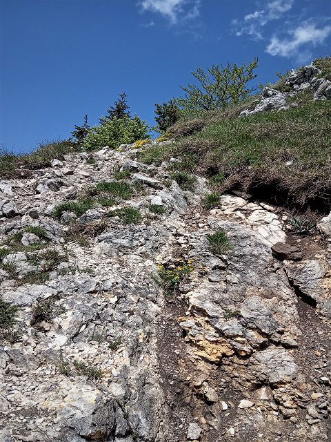 Posledný úsek trasy na Drienok