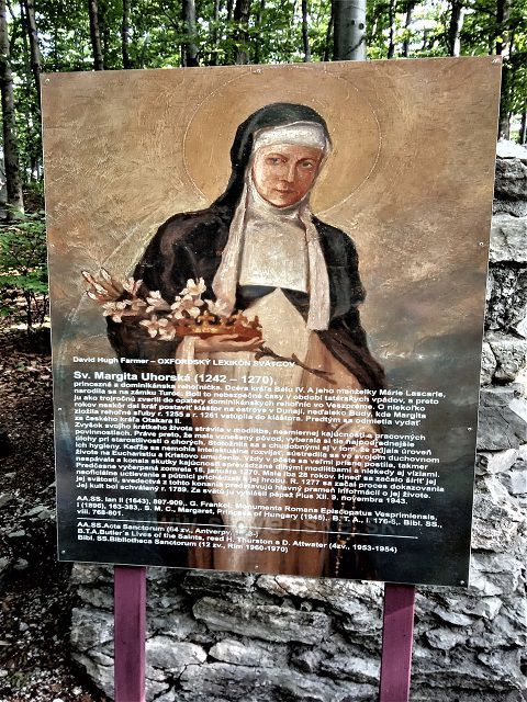 Sv. Margita Uhorská /1242-1270/