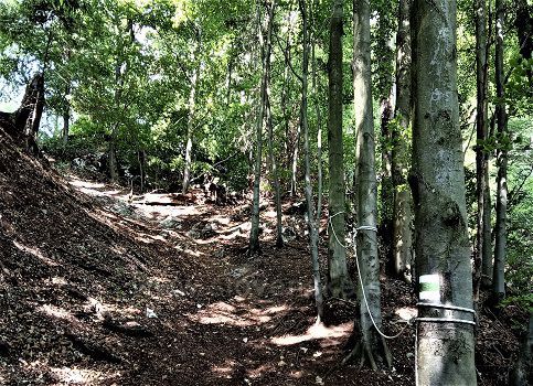 Ku hradu Zniev po zelenej...