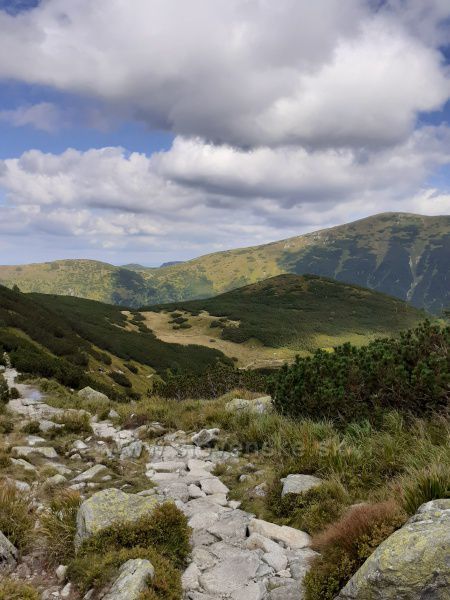 u Roháčských ples