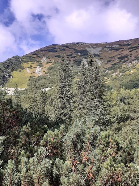 pod Roháčskými plesami