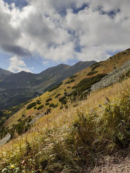 pod Roháčskými plesami