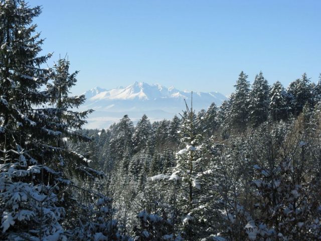 okolie Starej Ľubovne