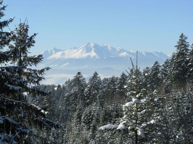 okolie Starej Ľubovne