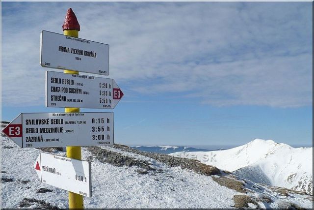 Hrana Veľkého Kriváňa