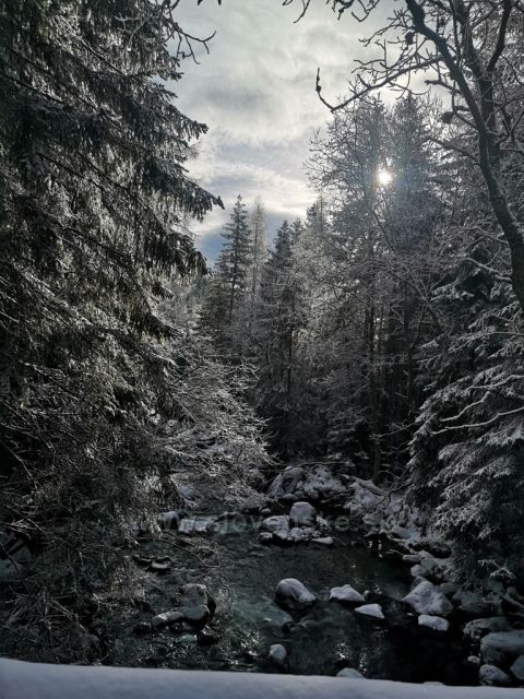 Cestou na Zelené pleso.