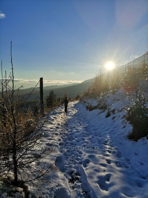 Cesta zo Zeleného plesa do Tatranskej Lomnice.