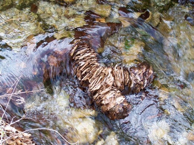 lísteček k lístečku....