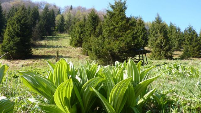 ze sedla na Baraniarky