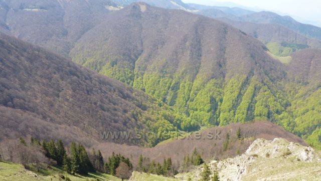 Baraniarky, pohled do údolí, kde se to již zelená