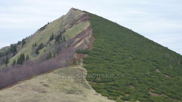 detail Kraviarské, každá strana kopce jiná