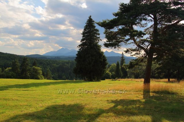 Tatry z Magurského sedla