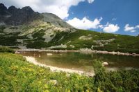 Skalnaté pleso